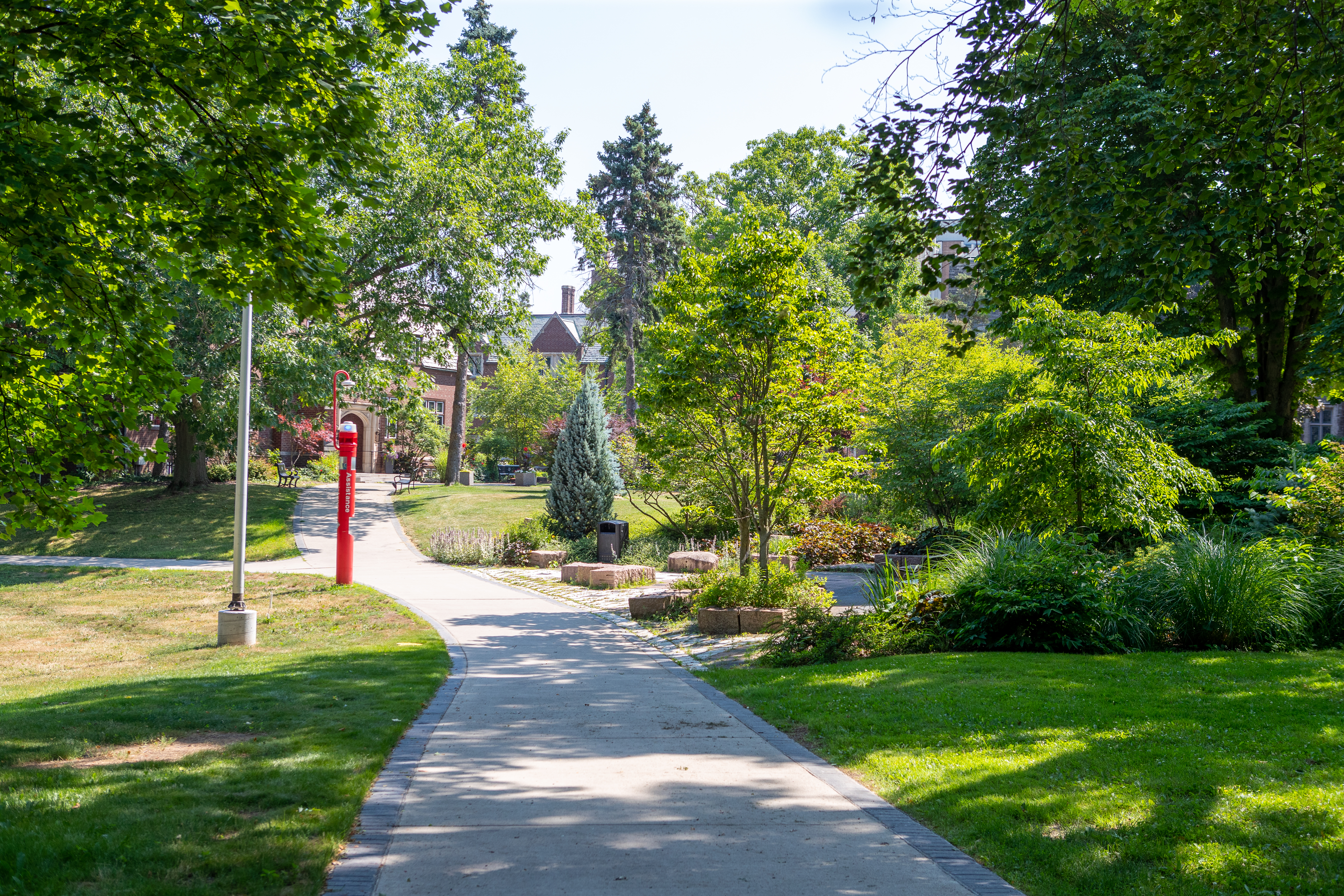 McMaster path